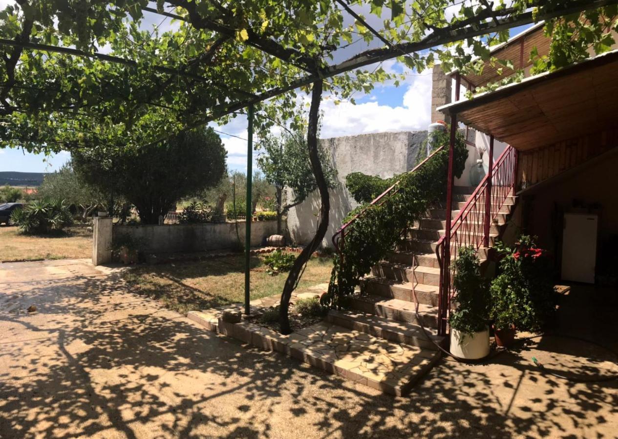 Elena Apartment Бенковац Екстериор снимка