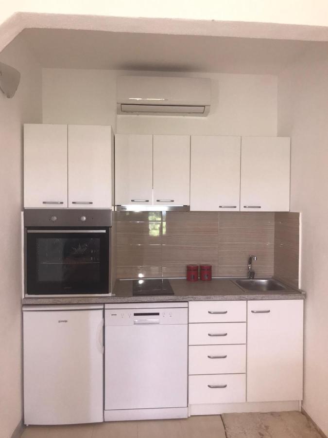 Elena Apartment Бенковац Екстериор снимка